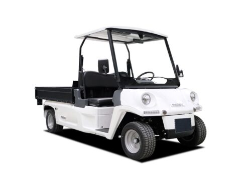 Ηλεκτρικά Golf Carts
